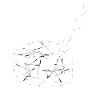 Pustekuchen - Pusteblume