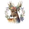 Roebuck