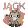 Donkey, Jack-Donkey, funny saying My-Name-Is-Jack