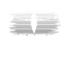 Thérapie par l’aviron