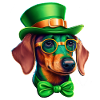 Saint-Patrick teckel Viennois Trèfle