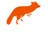 Renards à vélo