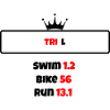 T shirt triathlon Distance L