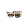 veterinarian, veterinarian, veterinarian