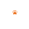 veterinarian, veterinarian, veterinarian