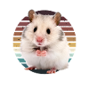 Hamster