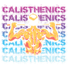 Calisthenics pull-up
