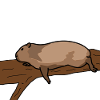 Faulpelz
