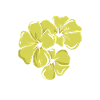 Yellow Flowers Florist