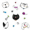 Dogs & cats