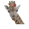 Giraffe Pixel Design