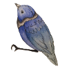 Vogel