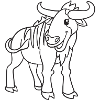 Wildebeest, wildebeest, gift, gift idea