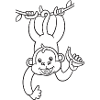 Monkey, monkey, banana, gift