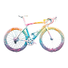 Rainbow bike