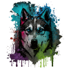 Husky Dog