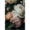 Bohemian Style, Modern, Flower Poster