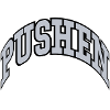 Pushen Vanity