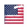 Best Father Ever with American
