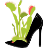 Venus flytrap