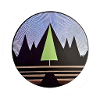 Lonely Fir