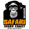 Ivory Coast - Chimpanzees
