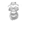 Burundi - Chimpanzees