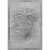 Food prints