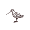 J'Peux Pas J'ai Bécasse