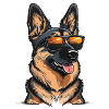cooler Schäferhund mit Sonnenbrille