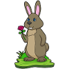 Bunny Rose