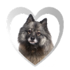 J’aime Eurasier - Coeur - Eurasier