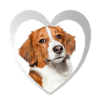 Kooikerhondje Herz - J’aime Kooikerhondje