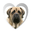 Mastiff Heart - J’aime Mastiff