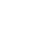 Limited Edition 1993 Gift