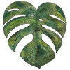 Monstera leaf plantlover plantnerd urbanjungle