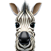 Cute zebra design