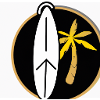 Logo du palmiersurf