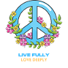 Live Fully Love Deeply