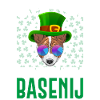 Saint Patricks Day 9