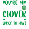 Saint Patricks Day 11