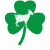 Saint Patricks Day 8