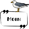 Moin Möwe