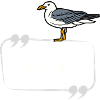 MOIN Möwe
