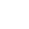 Witzig 1991