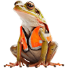 Frog with safety vest