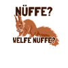 Nüffe Welfe Nüffe Grauhörnchen Squirrel