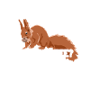 Nüffe Welfe Nüffe Grauhörnchen Squirrel