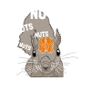 Nuts Brain Fuchshörnchen Grauhörnchen Squirrel