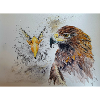 Adler